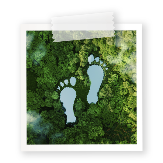 Green Footprint Framed Polaroid Image - Wild & Moor