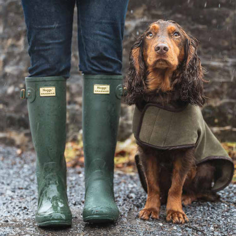 Spaniel wearing Hoggs of Fife Stenton Fleece Dog Coat Lovat - Wild & Moor