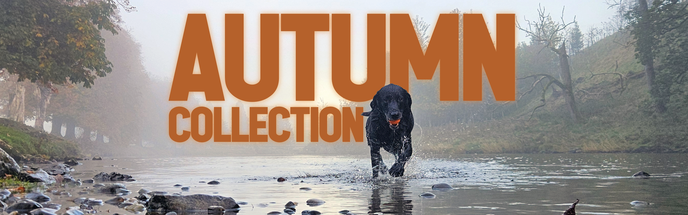 Indy dog from Wild & Moor retrieving from the River Wharfe, with the words 'AUTUMN COLLECTION' overlaying the photo