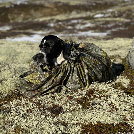 Lifestyle image of The Jerven Lair, Mountain Camo - Jerven Bag for Dogs