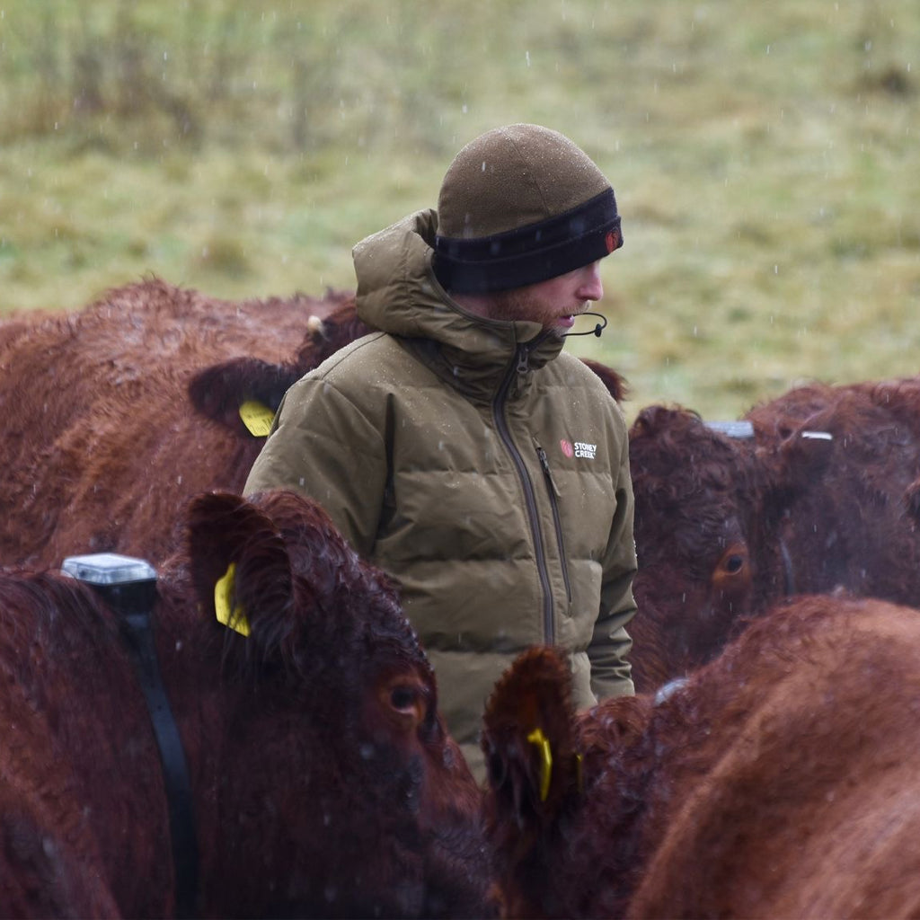 Stoney Creek Men's Thermotough Jacket Tundra - Wild & Moor